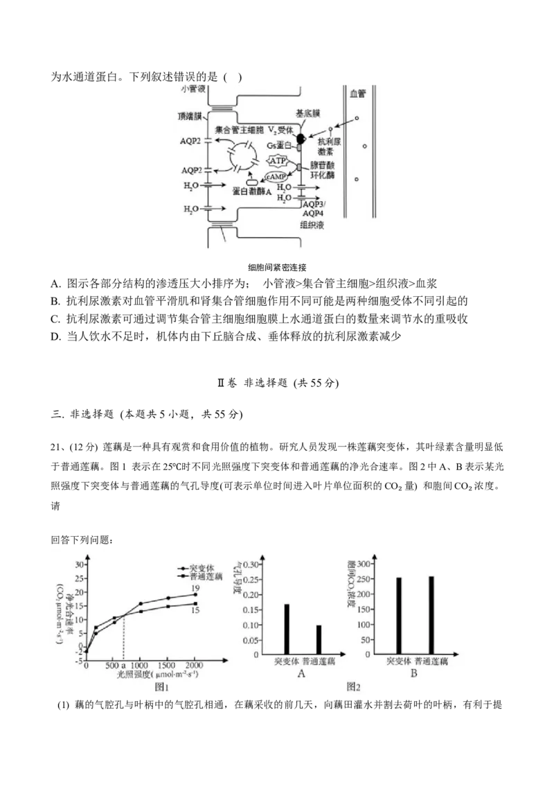 黑龙江省佳木斯市第一中学2025届高三上学期第五次调研考试生物Word版含答案_2025年1月_250108黑龙江省佳木斯市第一中学2025届高三上学期第五次调研考试（全科）