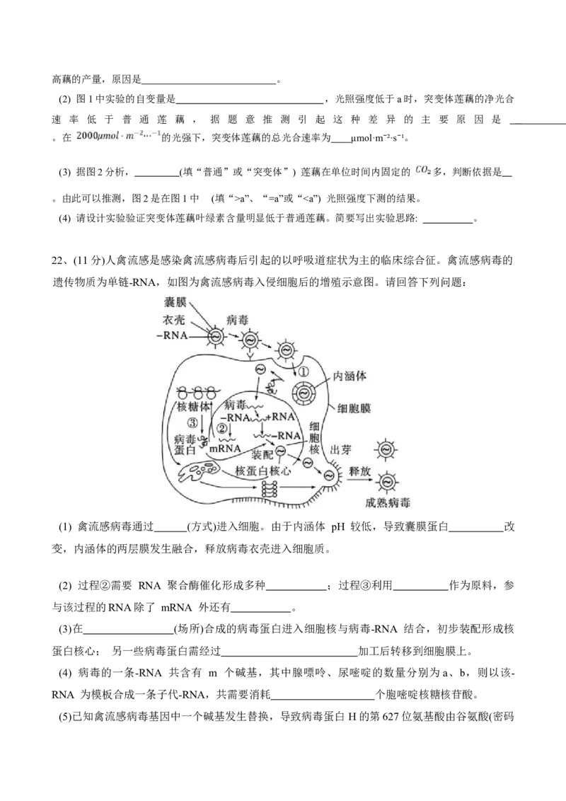 黑龙江省佳木斯市第一中学2025届高三上学期第五次调研考试生物Word版含答案_2025年1月_250108黑龙江省佳木斯市第一中学2025届高三上学期第五次调研考试（全科）