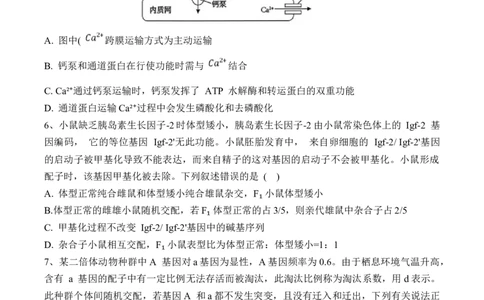 黑龙江省佳木斯市第一中学2025届高三上学期第五次调研考试生物Word版含答案_2025年1月_250108黑龙江省佳木斯市第一中学2025届高三上学期第五次调研考试（全科）
