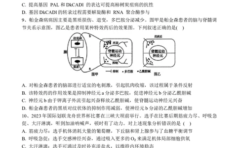 黑龙江省佳木斯市第一中学2025届高三上学期第五次调研考试生物Word版含答案_2025年1月_250108黑龙江省佳木斯市第一中学2025届高三上学期第五次调研考试（全科）