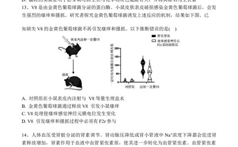 黑龙江省佳木斯市第一中学2025届高三上学期第五次调研考试生物Word版含答案_2025年1月_250108黑龙江省佳木斯市第一中学2025届高三上学期第五次调研考试（全科）