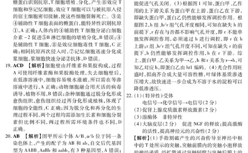 新时代高中教育联合体2025年秋季高三开学摸底考-附加测试卷生物答案_2025年9月_250911黑龙江省新时代高中教育联合体2025-2026学年高三上学期开学摸底考试（全科）