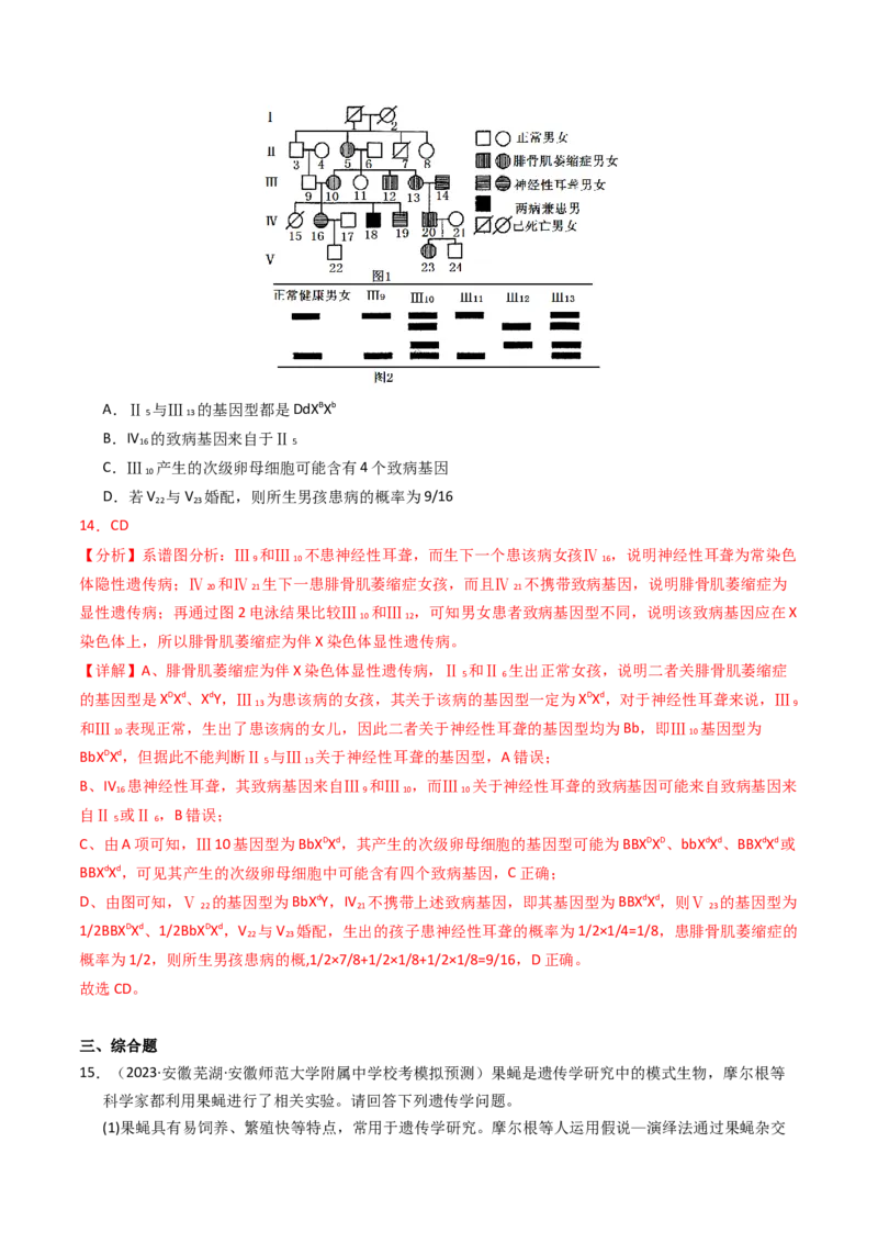 专题08伴性遗传和人类遗传病（解析卷）_近10年高考真题汇编（必刷）_十年（2014-2024）高考生物真题分项汇编（全国通用）_2023年高考真题和模拟题生物分项汇编（全国通用）
