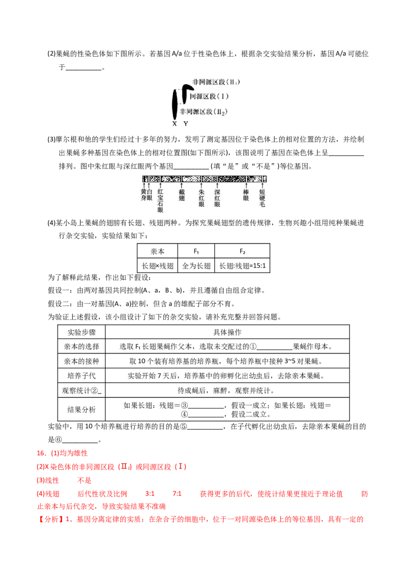 专题08伴性遗传和人类遗传病（解析卷）_近10年高考真题汇编（必刷）_十年（2014-2024）高考生物真题分项汇编（全国通用）_2023年高考真题和模拟题生物分项汇编（全国通用）