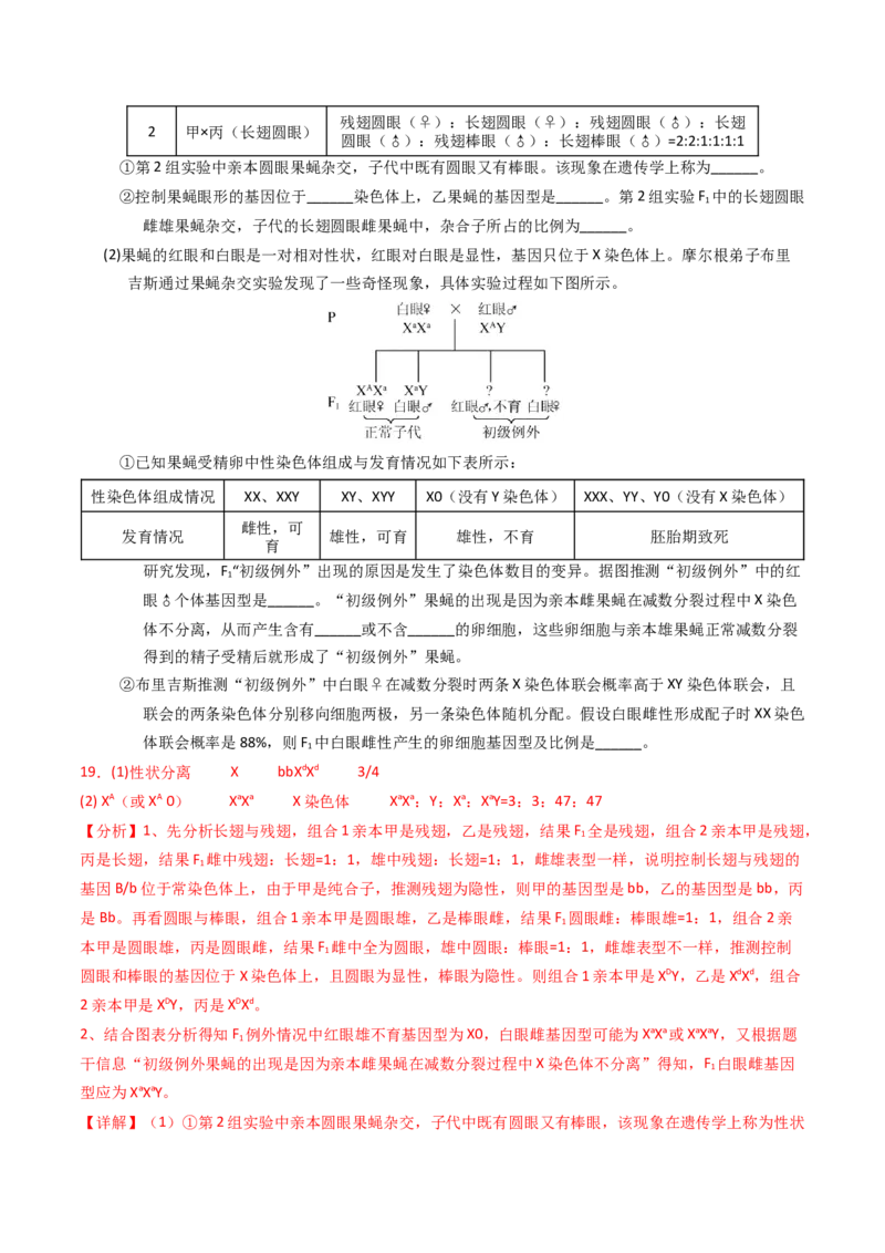 专题08伴性遗传和人类遗传病（解析卷）_近10年高考真题汇编（必刷）_十年（2014-2024）高考生物真题分项汇编（全国通用）_2023年高考真题和模拟题生物分项汇编（全国通用）