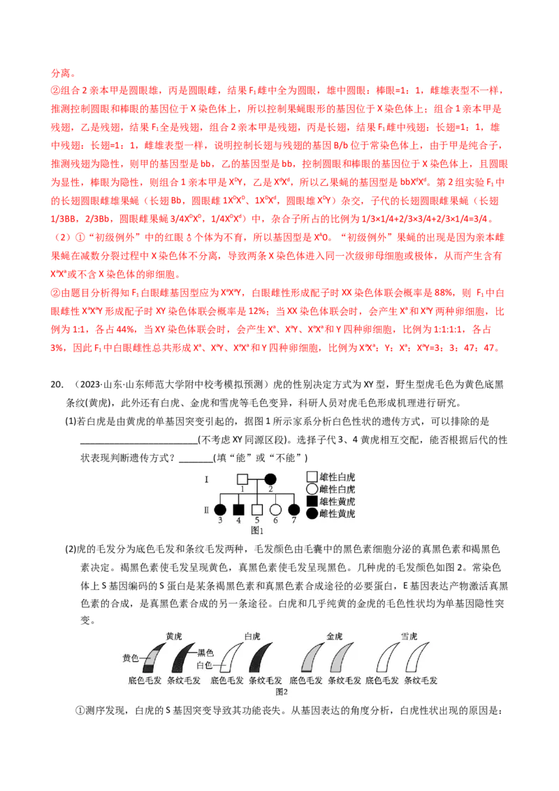 专题08伴性遗传和人类遗传病（解析卷）_近10年高考真题汇编（必刷）_十年（2014-2024）高考生物真题分项汇编（全国通用）_2023年高考真题和模拟题生物分项汇编（全国通用）