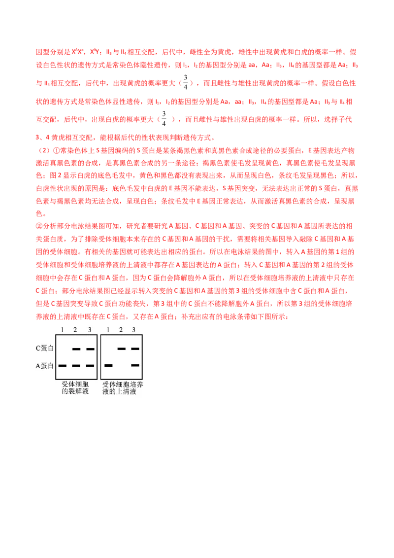 专题08伴性遗传和人类遗传病（解析卷）_近10年高考真题汇编（必刷）_十年（2014-2024）高考生物真题分项汇编（全国通用）_2023年高考真题和模拟题生物分项汇编（全国通用）