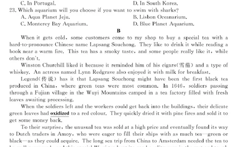 安徽师范大学附属中学2025届下学期4月质量检测英语+答案_2025年4月_250412安徽华师联盟（安徽师范大学附属中学）2025届下学期4月质量检测（全科）