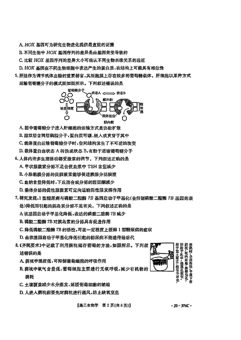贵州省黔东南州2025届高三金太阳模拟统测（25-374C）生物+答案_2025年3月_250324贵州省黔东南州2025届高三金太阳模拟统测（25-374C）（全科）
