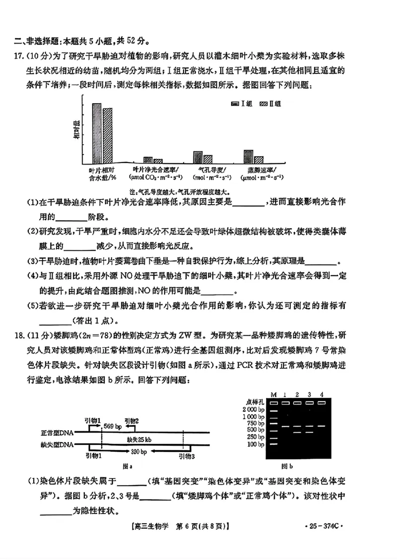 贵州省黔东南州2025届高三金太阳模拟统测（25-374C）生物+答案_2025年3月_250324贵州省黔东南州2025届高三金太阳模拟统测（25-374C）（全科）