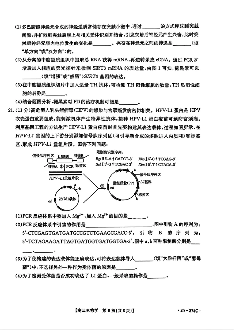 贵州省黔东南州2025届高三金太阳模拟统测（25-374C）生物+答案_2025年3月_250324贵州省黔东南州2025届高三金太阳模拟统测（25-374C）（全科）
