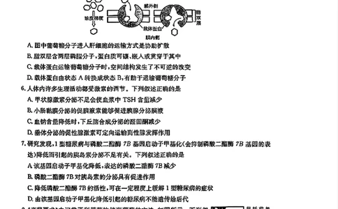 贵州省黔东南州2025届高三金太阳模拟统测（25-374C）生物+答案_2025年3月_250324贵州省黔东南州2025届高三金太阳模拟统测（25-374C）（全科）