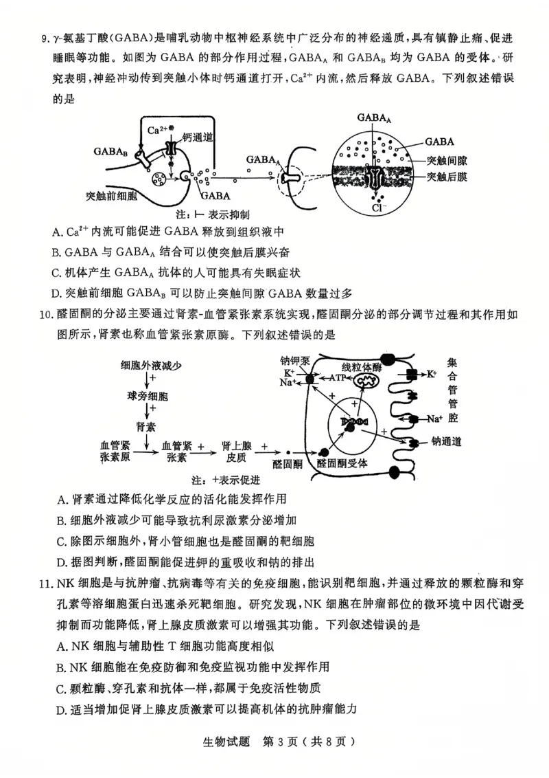 生物试题_2025年1月_250108山东省济宁市2024-2025学年高三上学期1月期末考试（全科）_山东省济宁市2024-2025学年高三上学期1月期末考试生物