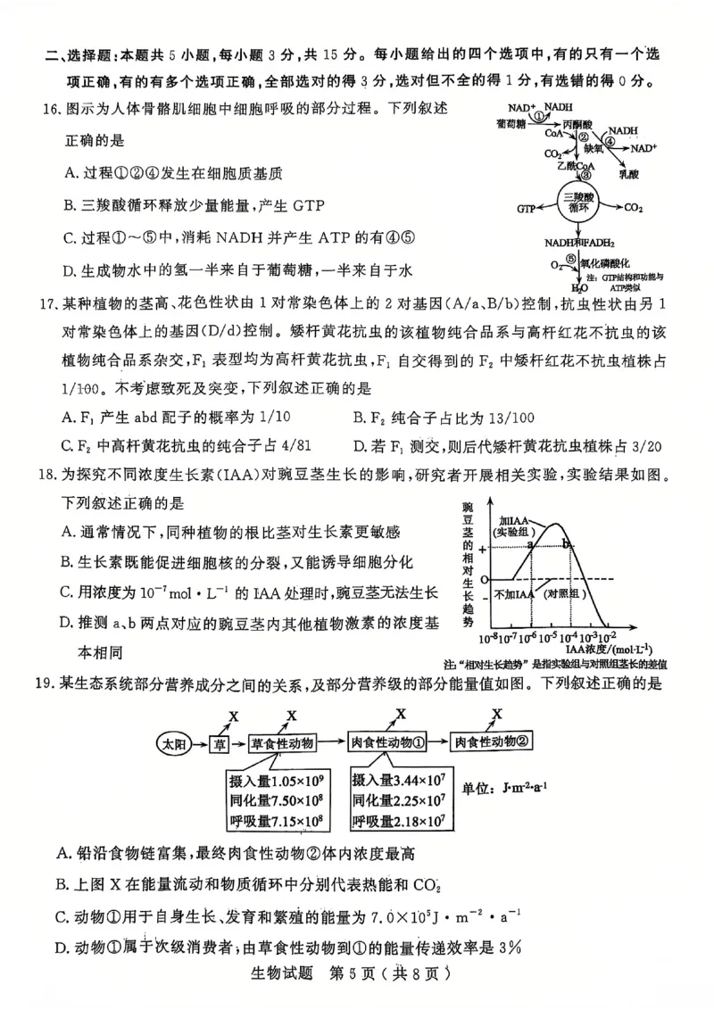 生物试题_2025年1月_250108山东省济宁市2024-2025学年高三上学期1月期末考试（全科）_山东省济宁市2024-2025学年高三上学期1月期末考试生物