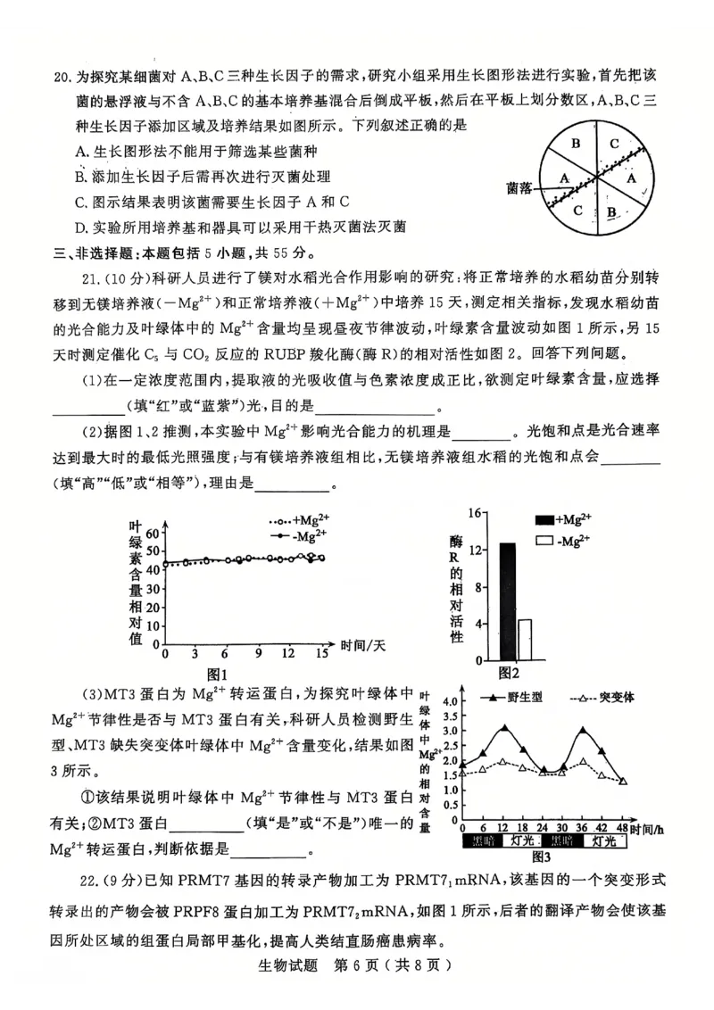 生物试题_2025年1月_250108山东省济宁市2024-2025学年高三上学期1月期末考试（全科）_山东省济宁市2024-2025学年高三上学期1月期末考试生物