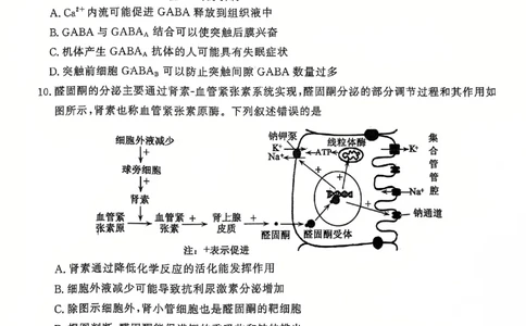生物试题_2025年1月_250108山东省济宁市2024-2025学年高三上学期1月期末考试（全科）_山东省济宁市2024-2025学年高三上学期1月期末考试生物