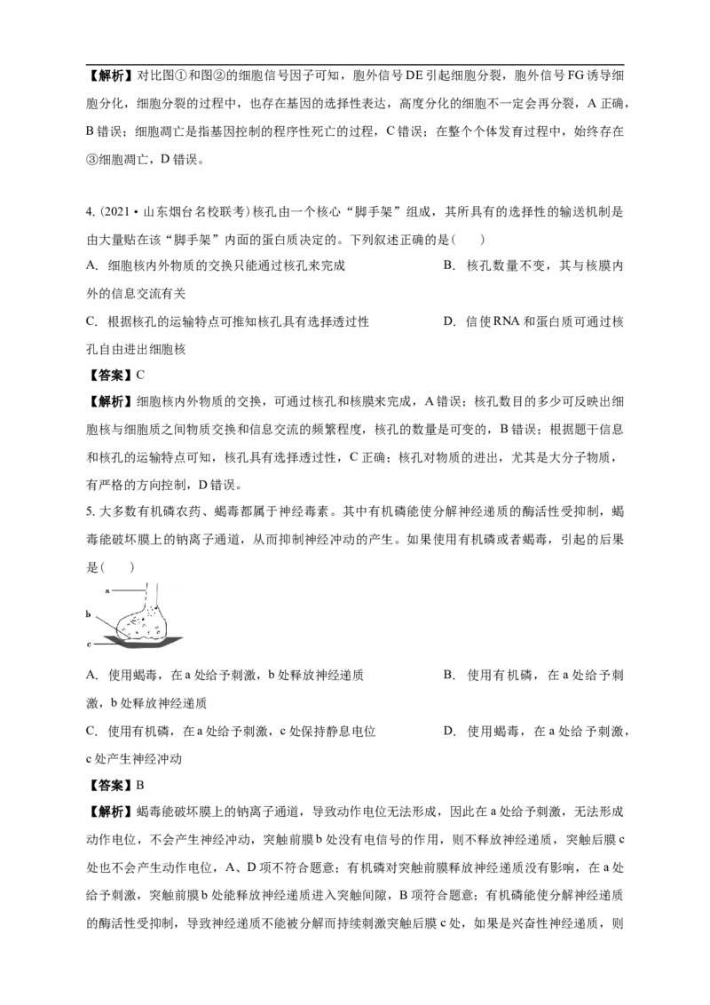 清远一中2025-2026学年度高三上学期期末考试生物试卷解析_2025年10月_251031广东省清远市第一中学2025-2026学年高三上学期10月期中