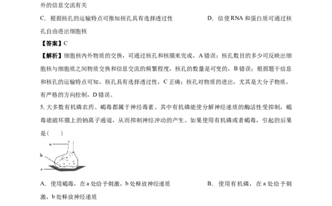 清远一中2025-2026学年度高三上学期期末考试生物试卷解析_2025年10月_251031广东省清远市第一中学2025-2026学年高三上学期10月期中