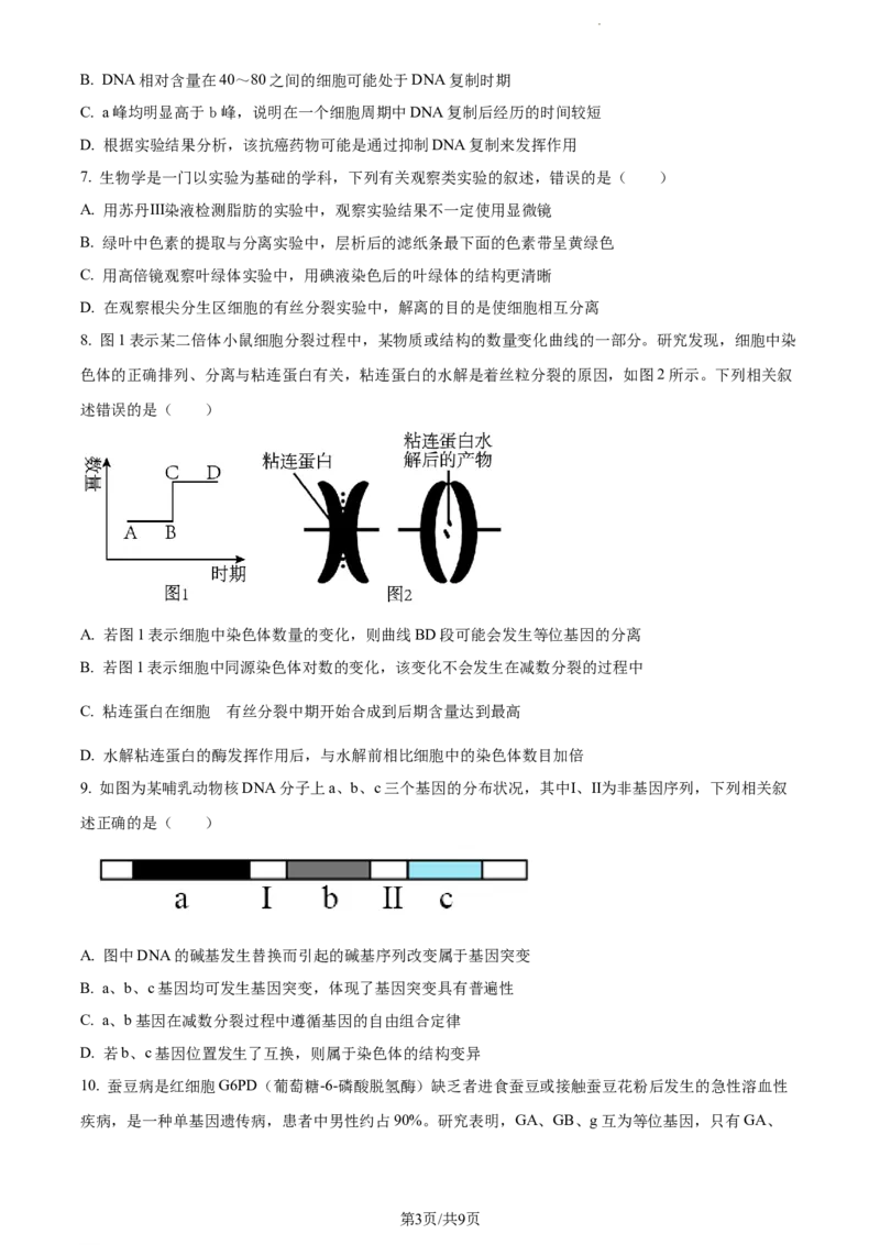 安徽省淮南市、淮北市2025届高三上学期第一次质量检测生物_2025年1月_250113安徽省淮南市、淮北市2025届高三上学期第一次质量检测（全科）