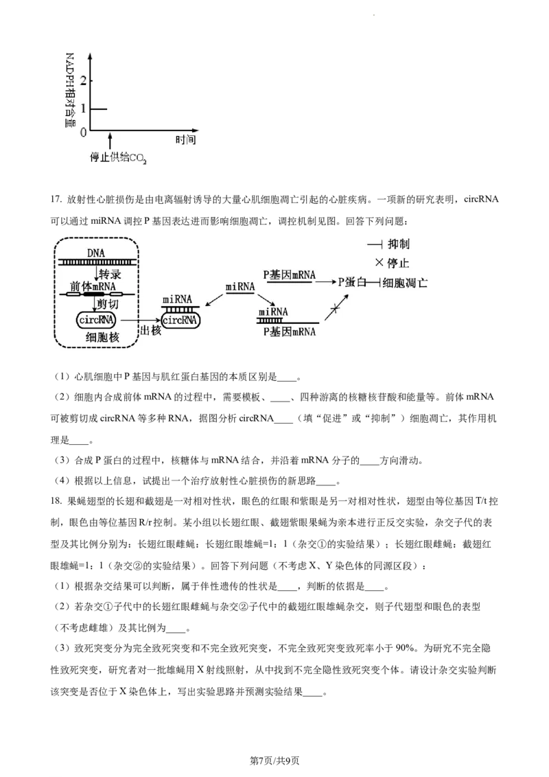 安徽省淮南市、淮北市2025届高三上学期第一次质量检测生物_2025年1月_250113安徽省淮南市、淮北市2025届高三上学期第一次质量检测（全科）