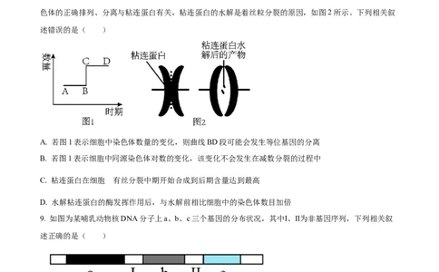 安徽省淮南市、淮北市2025届高三上学期第一次质量检测生物_2025年1月_250113安徽省淮南市、淮北市2025届高三上学期第一次质量检测（全科）