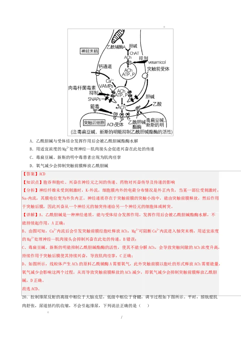高二生物第一次月考卷多选题版（全解全析）（人教版2019）_1多考区联考试卷_2510142025-2026学年高二生物上学期第一次月考试题