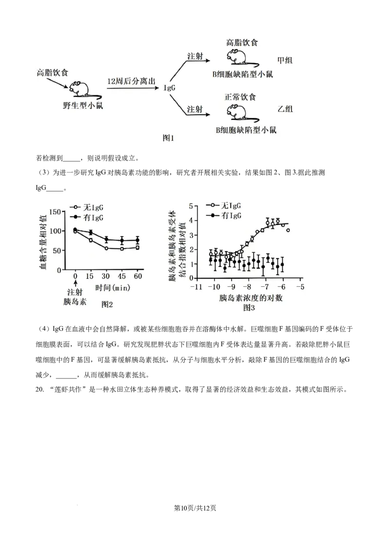 精品解析：江西省吉安市七校联考2025-2026学年高三上学期10月月考生物试题（原卷版）_2025年10月_251016江西省西路七校2025-2026学年高三上学期10月第一次联考