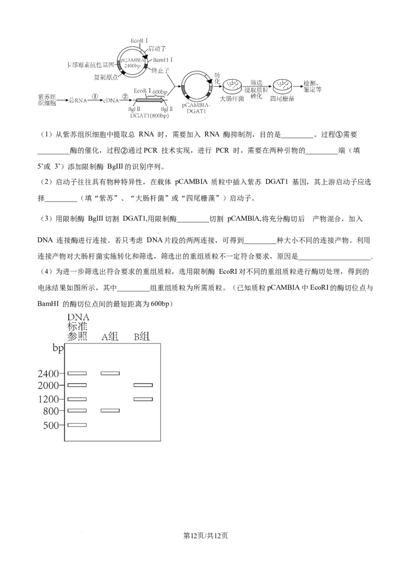 精品解析：江西省吉安市七校联考2025-2026学年高三上学期10月月考生物试题（原卷版）_2025年10月_251016江西省西路七校2025-2026学年高三上学期10月第一次联考