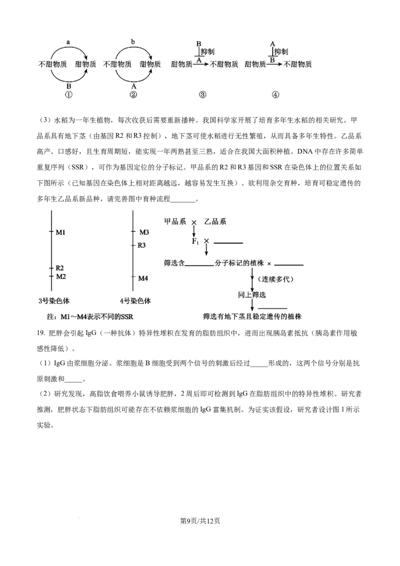 精品解析：江西省吉安市七校联考2025-2026学年高三上学期10月月考生物试题（原卷版）_2025年10月_251016江西省西路七校2025-2026学年高三上学期10月第一次联考