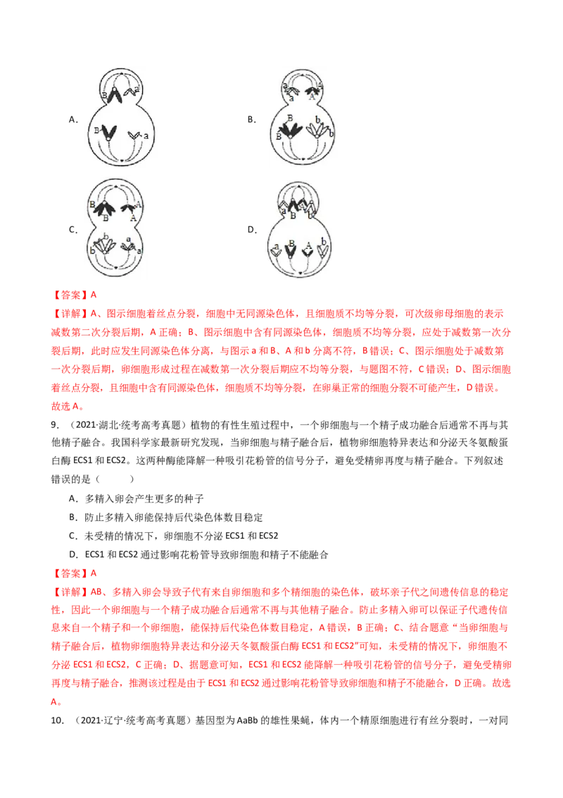 专题08有丝分裂和减数分裂（解析卷）_近10年高考真题汇编（必刷）_十年（2014-2024）高考生物真题分项汇编（全国通用）_十年（2014-2023）高考生物真题分项汇编（全国通用）