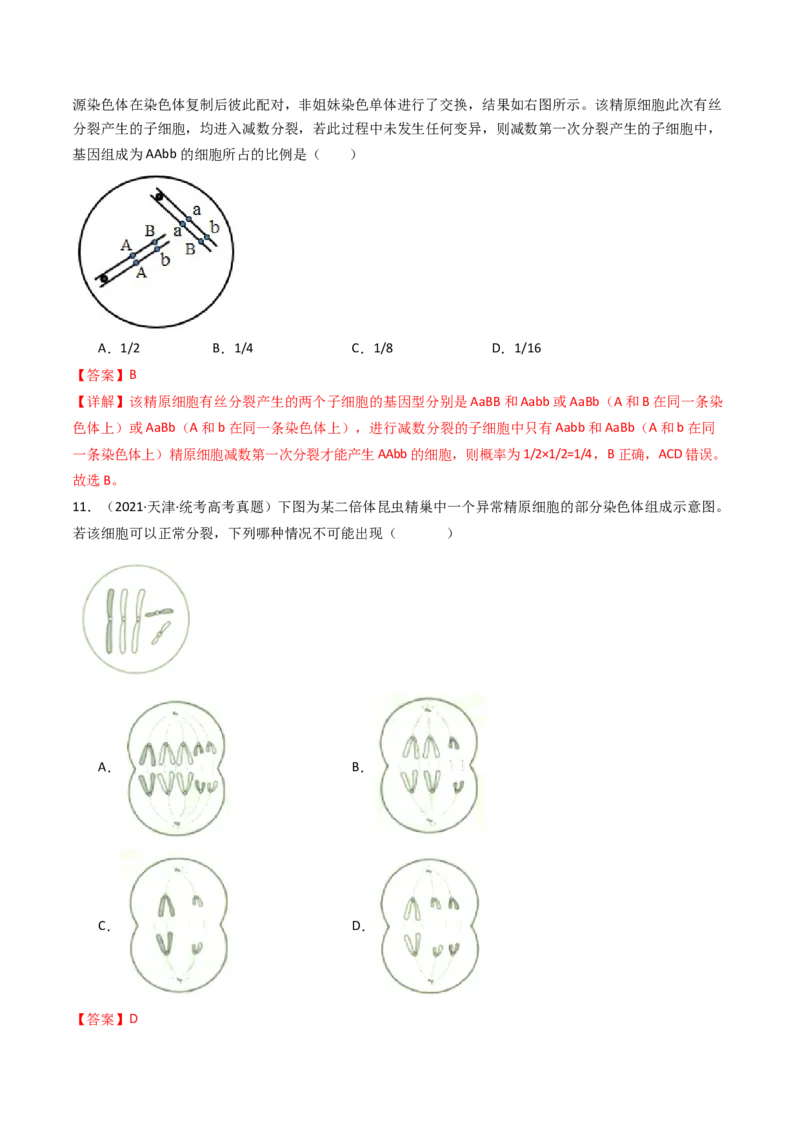 专题08有丝分裂和减数分裂（解析卷）_近10年高考真题汇编（必刷）_十年（2014-2024）高考生物真题分项汇编（全国通用）_十年（2014-2023）高考生物真题分项汇编（全国通用）