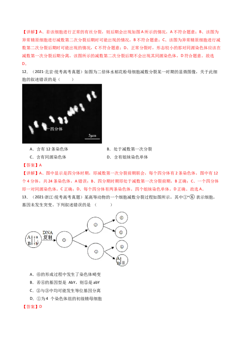专题08有丝分裂和减数分裂（解析卷）_近10年高考真题汇编（必刷）_十年（2014-2024）高考生物真题分项汇编（全国通用）_十年（2014-2023）高考生物真题分项汇编（全国通用）