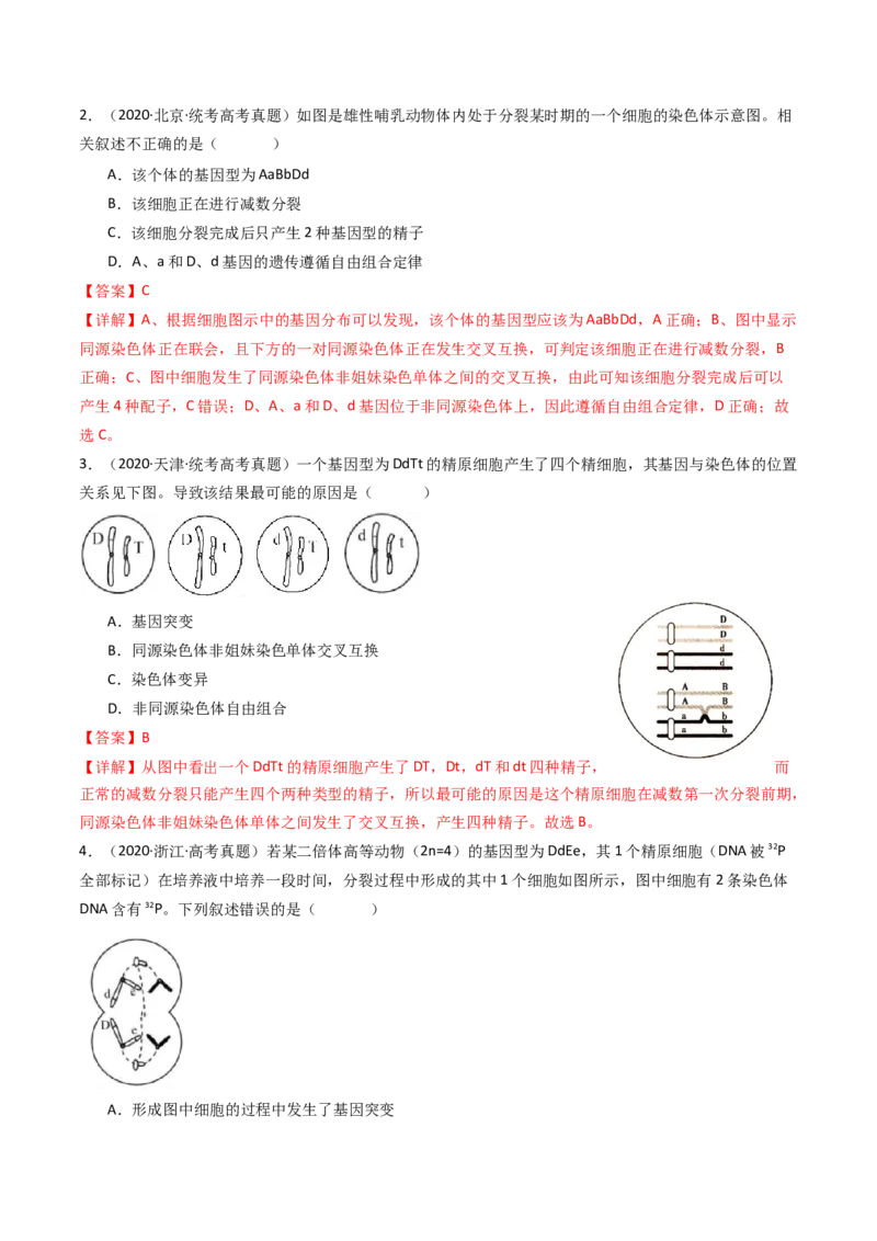 专题08有丝分裂和减数分裂（解析卷）_近10年高考真题汇编（必刷）_十年（2014-2024）高考生物真题分项汇编（全国通用）_十年（2014-2023）高考生物真题分项汇编（全国通用）
