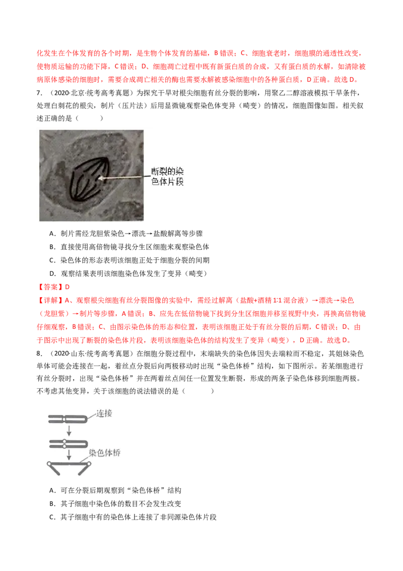 专题08有丝分裂和减数分裂（解析卷）_近10年高考真题汇编（必刷）_十年（2014-2024）高考生物真题分项汇编（全国通用）_十年（2014-2023）高考生物真题分项汇编（全国通用）
