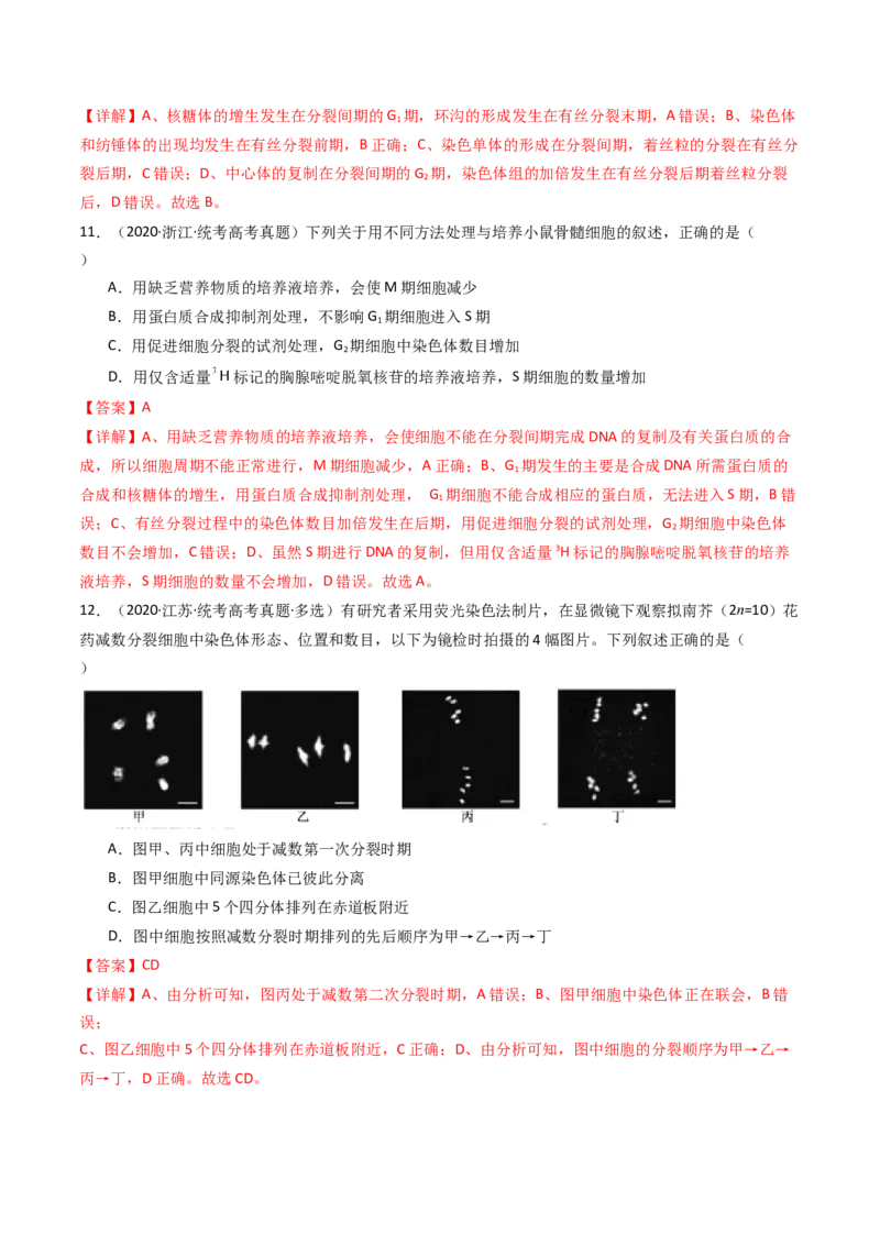 专题08有丝分裂和减数分裂（解析卷）_近10年高考真题汇编（必刷）_十年（2014-2024）高考生物真题分项汇编（全国通用）_十年（2014-2023）高考生物真题分项汇编（全国通用）