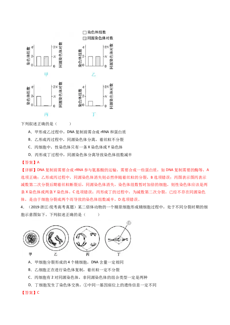 专题08有丝分裂和减数分裂（解析卷）_近10年高考真题汇编（必刷）_十年（2014-2024）高考生物真题分项汇编（全国通用）_十年（2014-2023）高考生物真题分项汇编（全国通用）