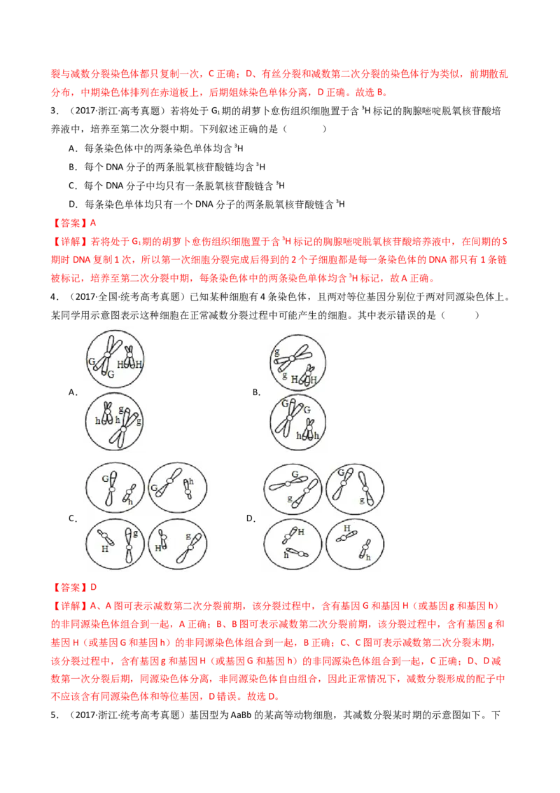 专题08有丝分裂和减数分裂（解析卷）_近10年高考真题汇编（必刷）_十年（2014-2024）高考生物真题分项汇编（全国通用）_十年（2014-2023）高考生物真题分项汇编（全国通用）
