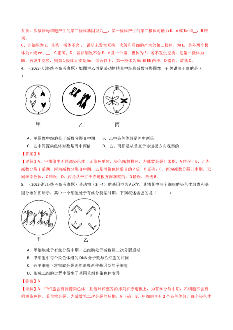 专题08有丝分裂和减数分裂（解析卷）_近10年高考真题汇编（必刷）_十年（2014-2024）高考生物真题分项汇编（全国通用）_十年（2014-2023）高考生物真题分项汇编（全国通用）