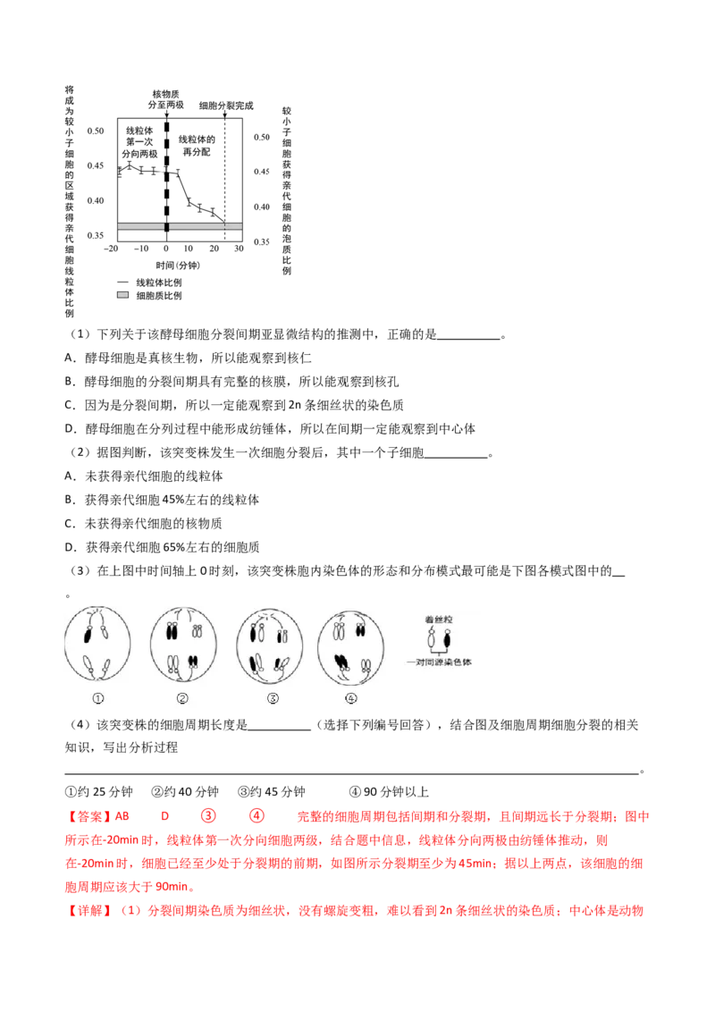 专题08有丝分裂和减数分裂（解析卷）_近10年高考真题汇编（必刷）_十年（2014-2024）高考生物真题分项汇编（全国通用）_十年（2014-2023）高考生物真题分项汇编（全国通用）