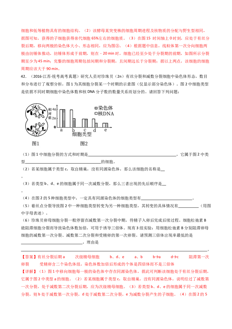 专题08有丝分裂和减数分裂（解析卷）_近10年高考真题汇编（必刷）_十年（2014-2024）高考生物真题分项汇编（全国通用）_十年（2014-2023）高考生物真题分项汇编（全国通用）
