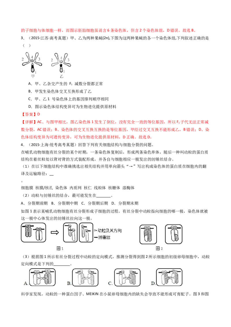 专题08有丝分裂和减数分裂（解析卷）_近10年高考真题汇编（必刷）_十年（2014-2024）高考生物真题分项汇编（全国通用）_十年（2014-2023）高考生物真题分项汇编（全国通用）