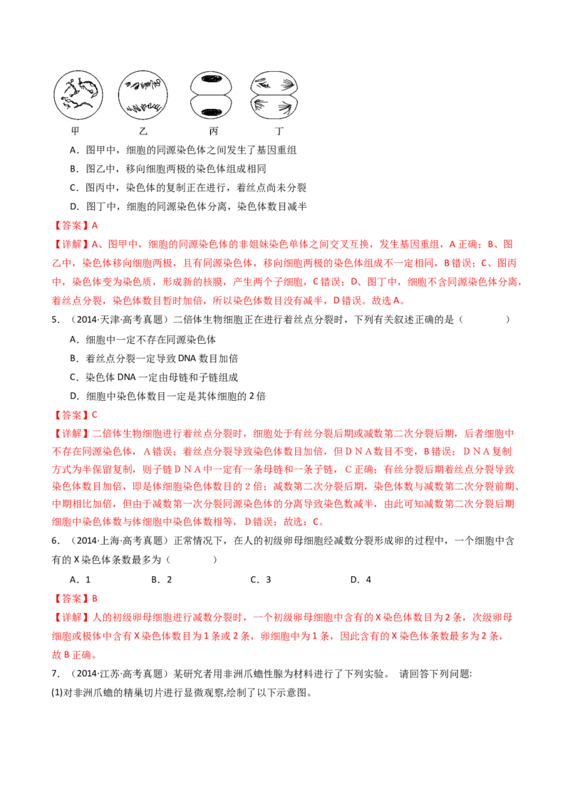 专题08有丝分裂和减数分裂（解析卷）_近10年高考真题汇编（必刷）_十年（2014-2024）高考生物真题分项汇编（全国通用）_十年（2014-2023）高考生物真题分项汇编（全国通用）