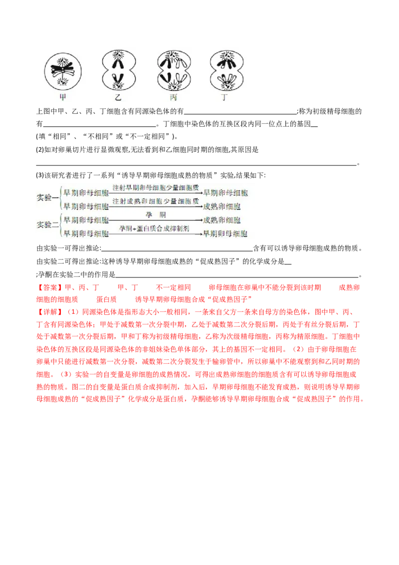 专题08有丝分裂和减数分裂（解析卷）_近10年高考真题汇编（必刷）_十年（2014-2024）高考生物真题分项汇编（全国通用）_十年（2014-2023）高考生物真题分项汇编（全国通用）