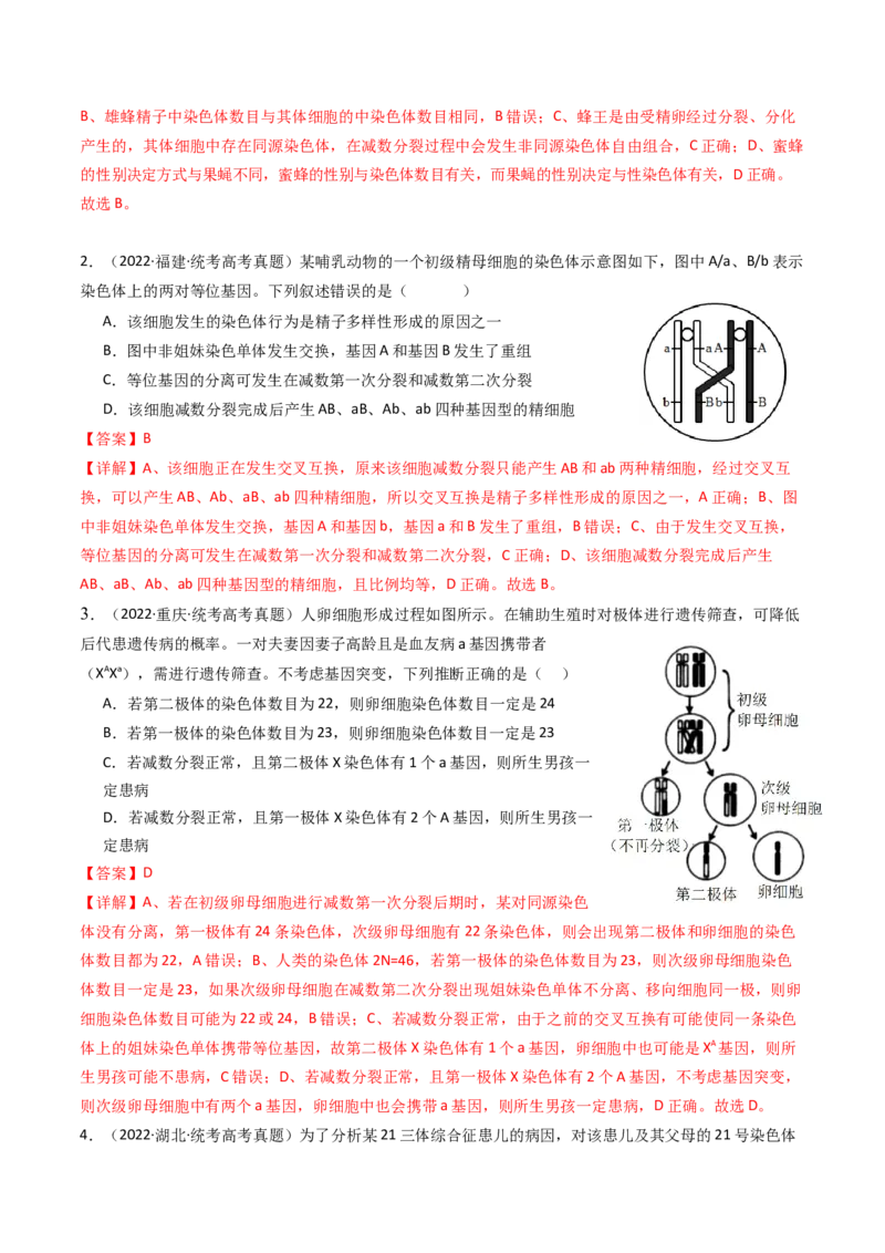 专题08有丝分裂和减数分裂（解析卷）_近10年高考真题汇编（必刷）_十年（2014-2024）高考生物真题分项汇编（全国通用）_十年（2014-2023）高考生物真题分项汇编（全国通用）