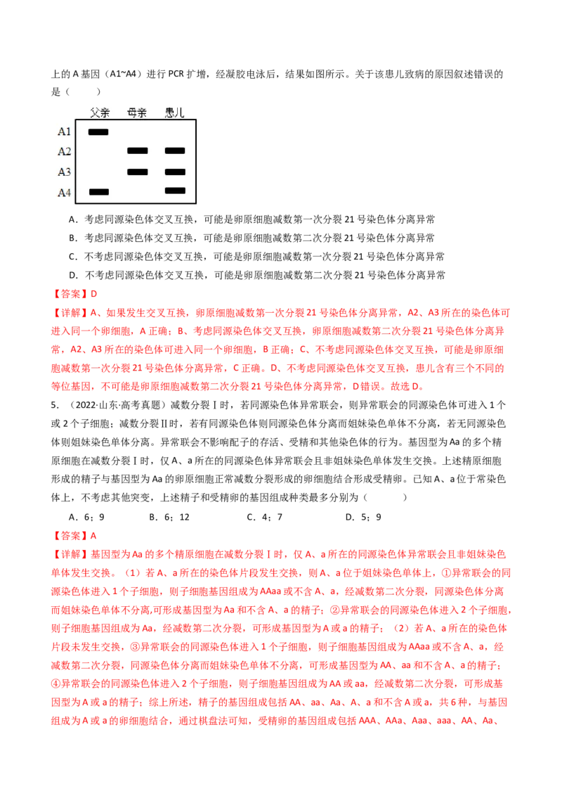 专题08有丝分裂和减数分裂（解析卷）_近10年高考真题汇编（必刷）_十年（2014-2024）高考生物真题分项汇编（全国通用）_十年（2014-2023）高考生物真题分项汇编（全国通用）