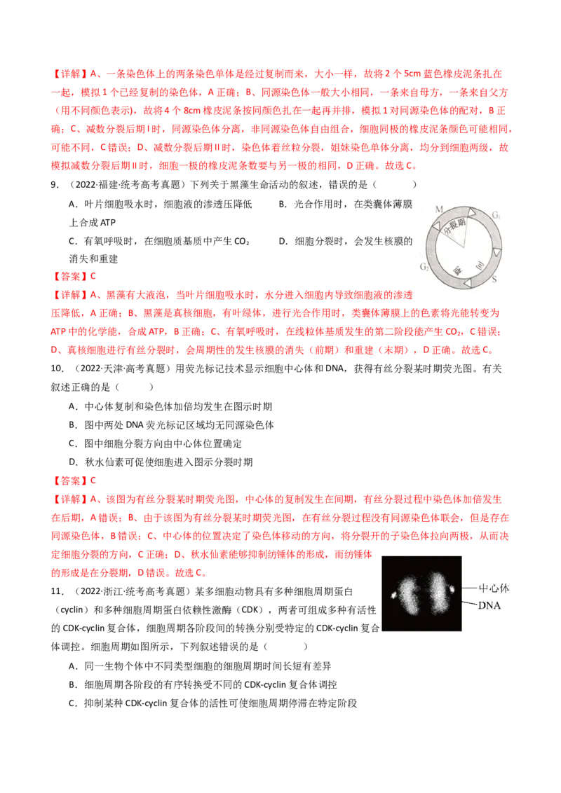 专题08有丝分裂和减数分裂（解析卷）_近10年高考真题汇编（必刷）_十年（2014-2024）高考生物真题分项汇编（全国通用）_十年（2014-2023）高考生物真题分项汇编（全国通用）