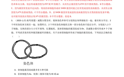 专题08有丝分裂和减数分裂（解析卷）_近10年高考真题汇编（必刷）_十年（2014-2024）高考生物真题分项汇编（全国通用）_十年（2014-2023）高考生物真题分项汇编（全国通用）