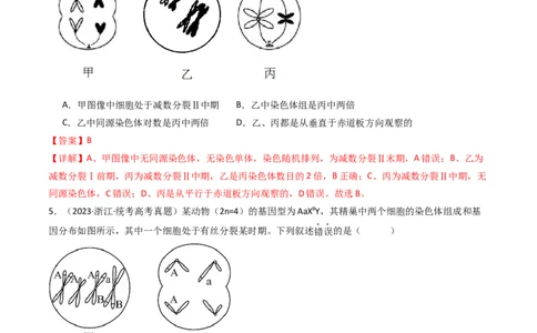 专题08有丝分裂和减数分裂（解析卷）_近10年高考真题汇编（必刷）_十年（2014-2024）高考生物真题分项汇编（全国通用）_十年（2014-2023）高考生物真题分项汇编（全国通用）