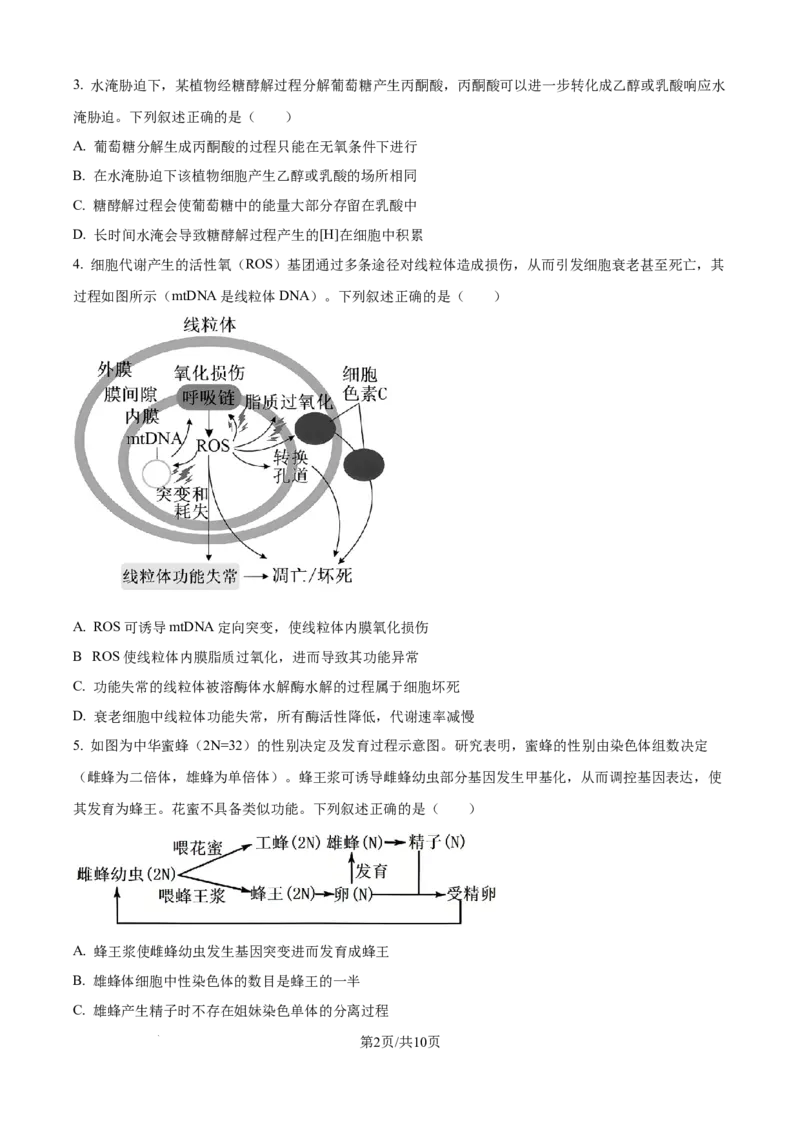 山西省太原市山西大学附属中学校2024-2025学年高三下学期3月月考生物_2025年3月_250331山西省太原市山西大学附属中学校2024-2025学年高三下学期3月月考