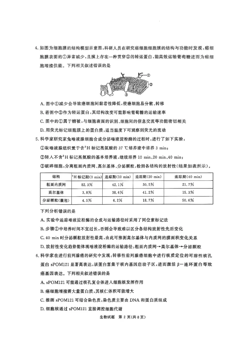河南省青桐鸣2025-2026学年高三上学期10月联考--生物试卷_2025年10月_251019河南省青桐鸣大联考2025-2026学年高三上学期10月联考